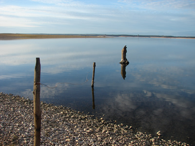the lake